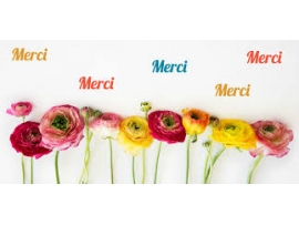 contente de vous avoir rencontrée