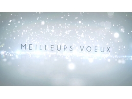Je vous souhaite une merveilleuse année 2019. Qu'elle vous soit lumineuse, prospère et bienveillante.Prenez soin de vous, Zoé